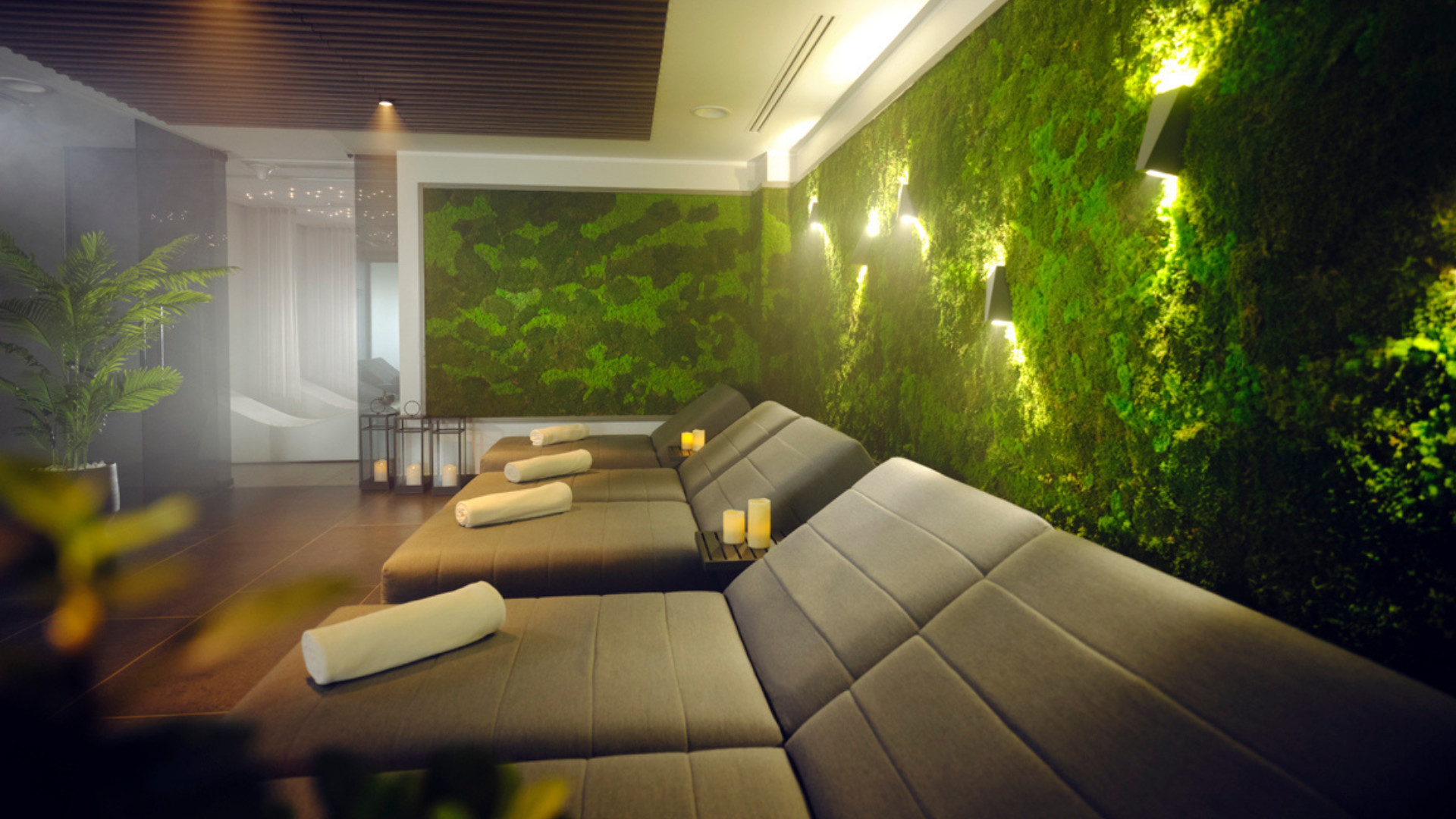 Posestvo Brdo - Wellness