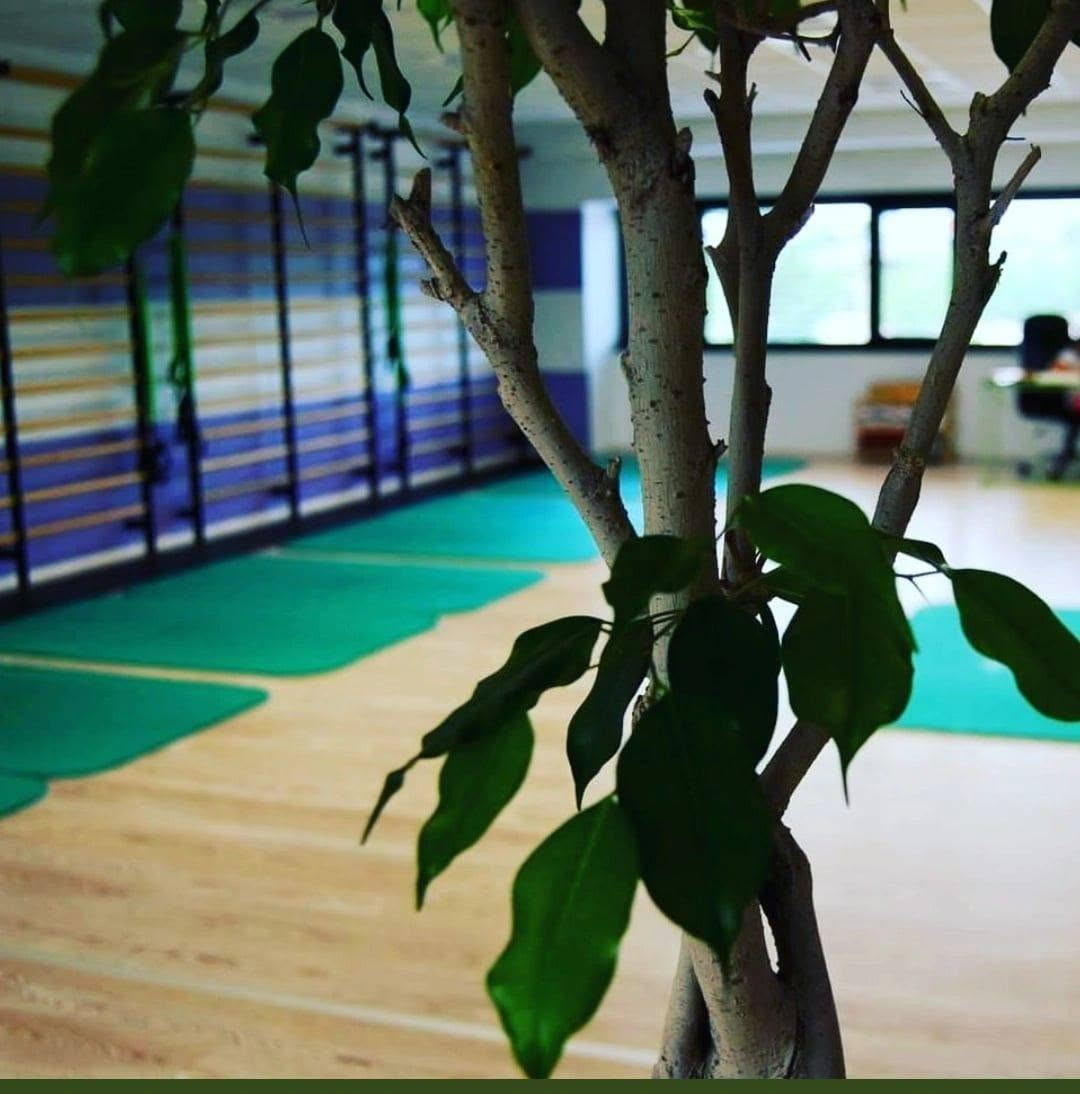 FitForm