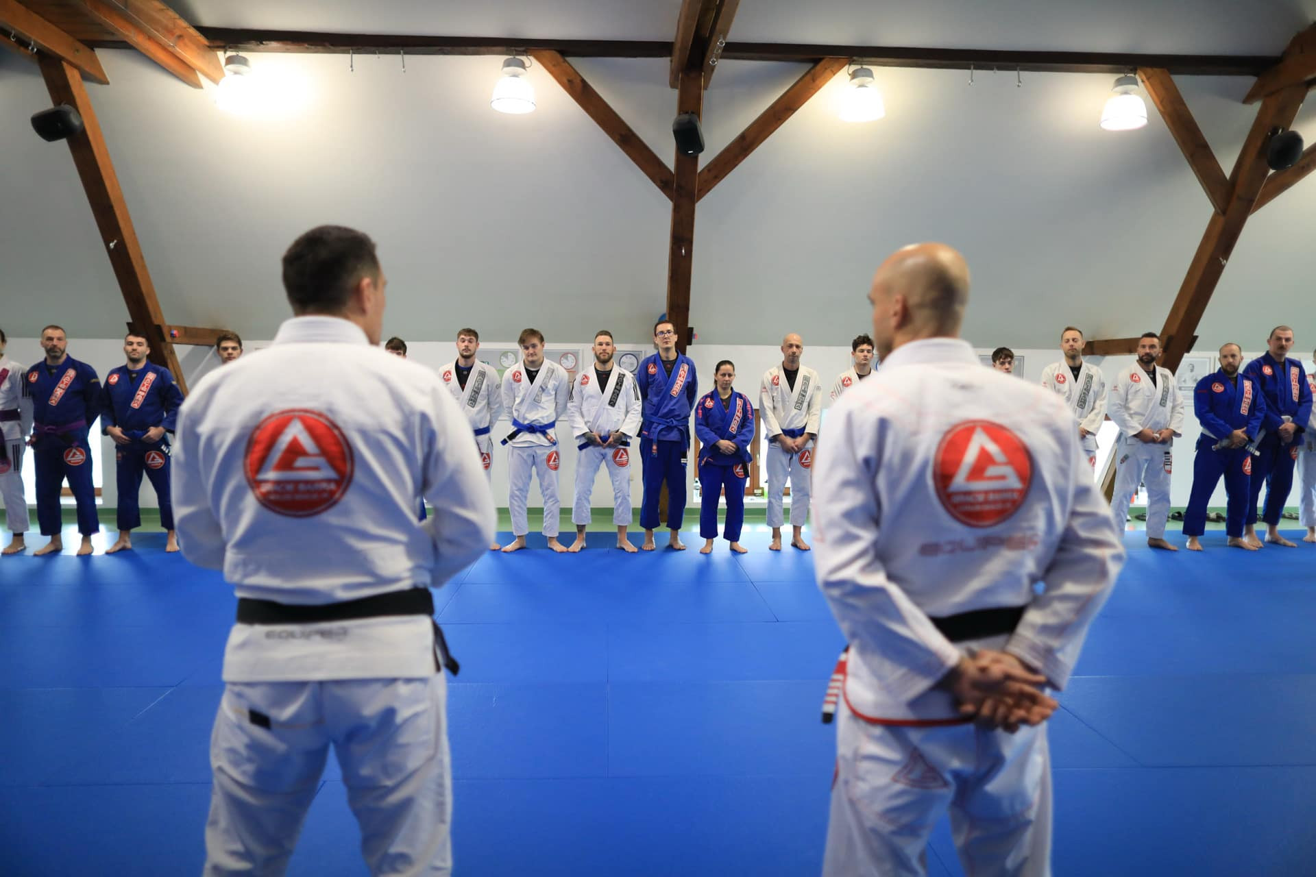Gracie Barra Domžale