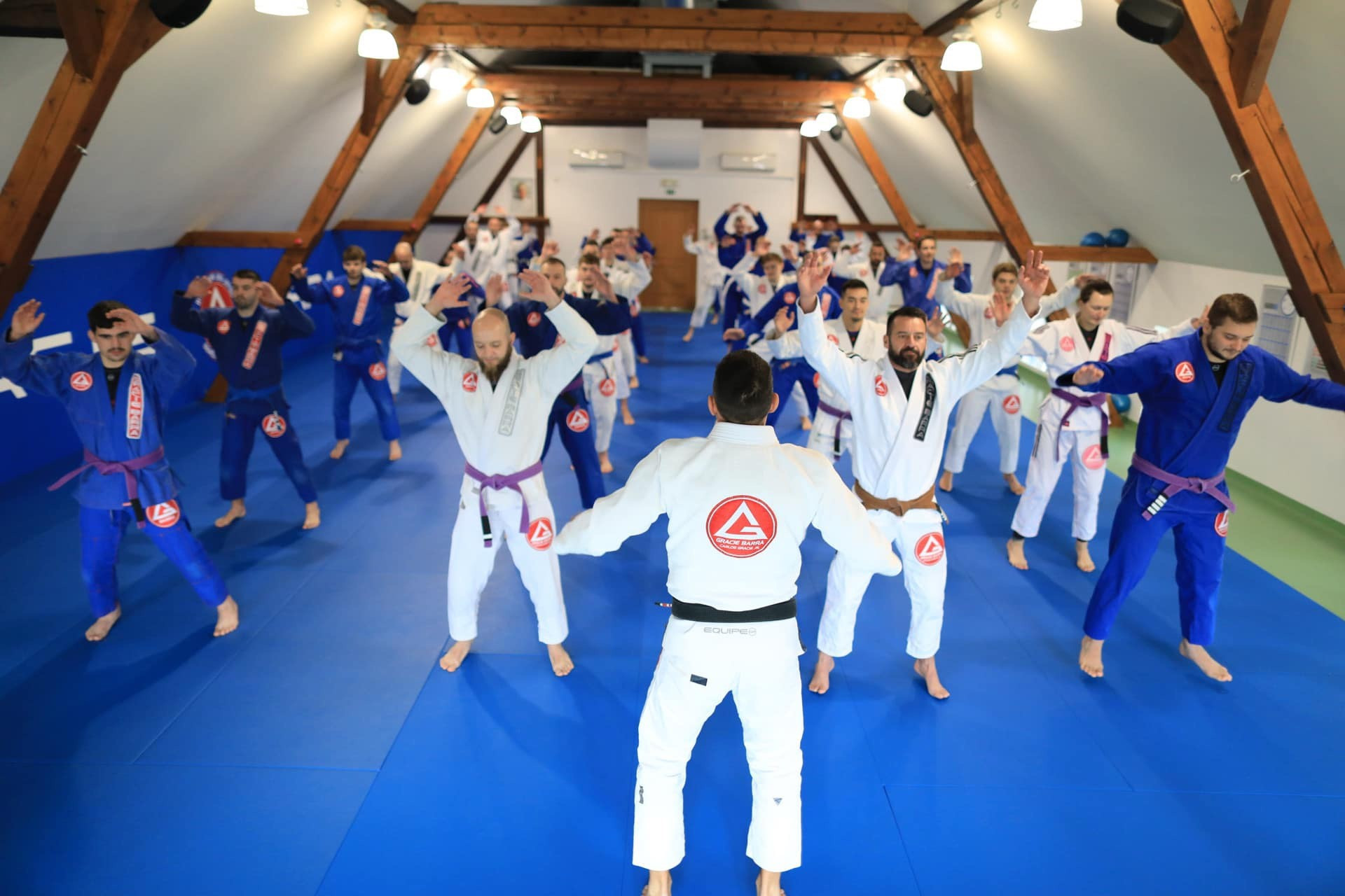 Gracie Barra Domžale