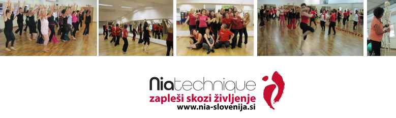 Društvo NIA - Škofije