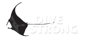 Divestrong – DC Bernardin