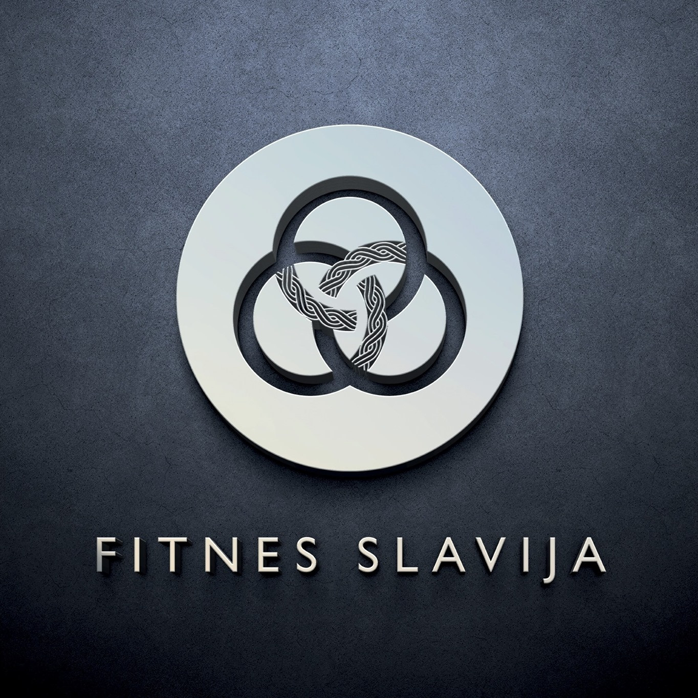 Fitnes Slavija