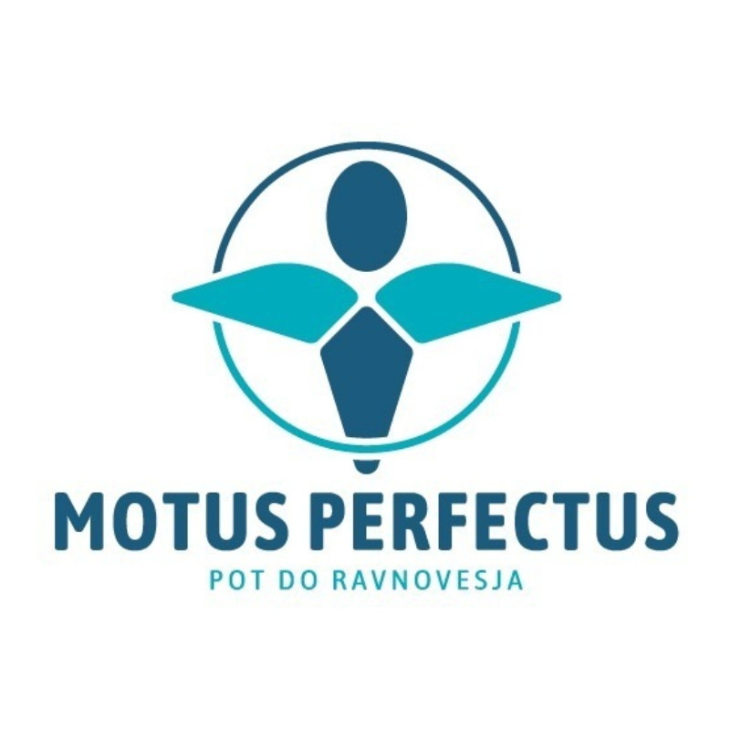 Motus Perfectus